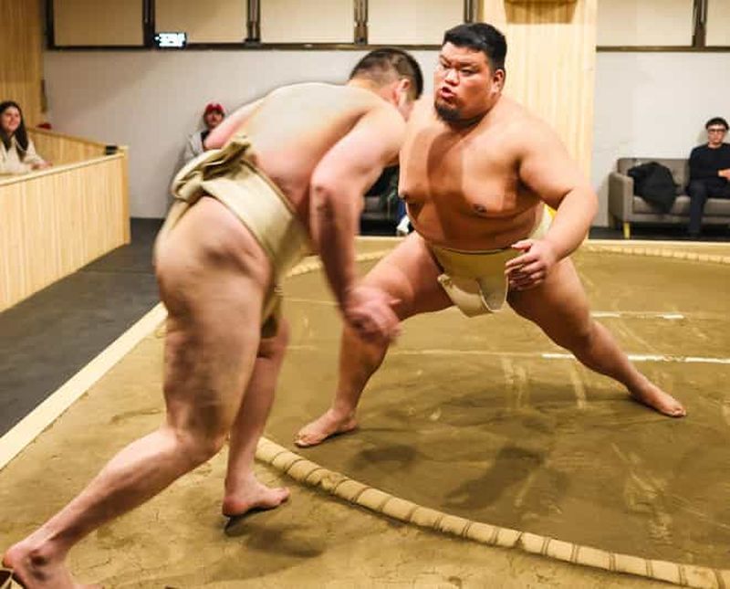 Tokyo : spectacle et expérience de sumo à Shinjuku