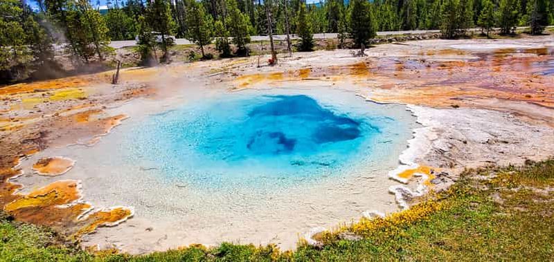 Depuis Bozeman : visite express de Yellowstone (1 journée)