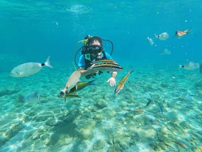 Billet Rhodes : expérience de plongée sous-marine pour débutants avec photos