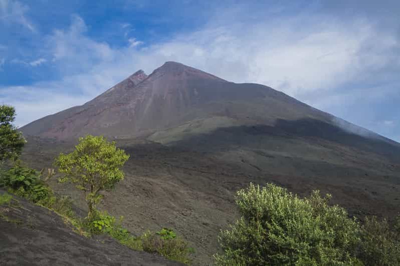 Depuis Guatemala City ou Antigua : Excursion d'une journée au volcan Pacaya