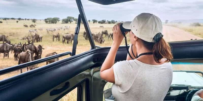 Au départ d'Arusha : Safari de 4 jours dans le parc national du Serengeti
