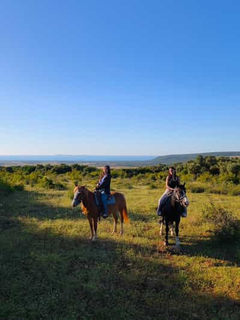 Parc national du Gargano : balade à cheval