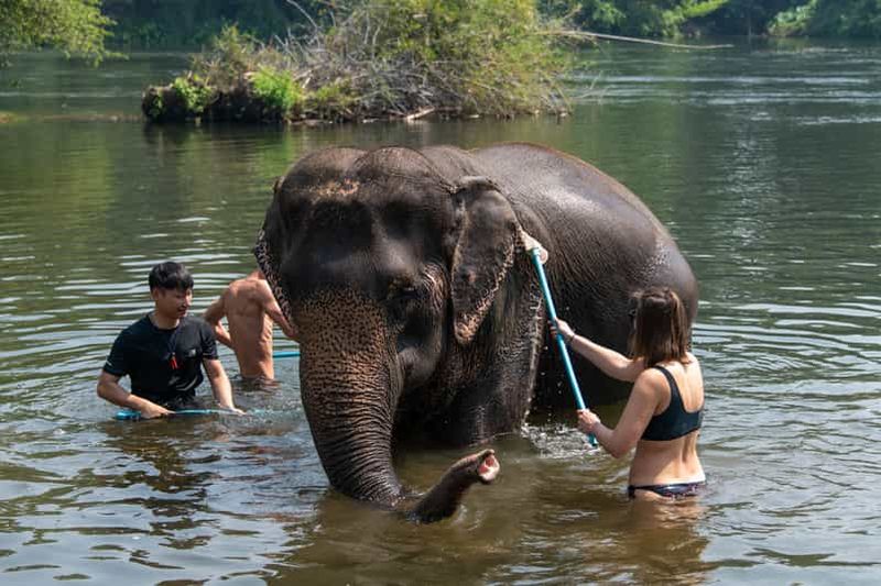 Bangkok : Sanctuaire des éléphants et chute d'eau d'Erawan