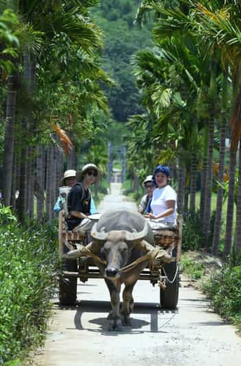 Billet Pu Luong : radeau en bambou, grotte et village de tisserands