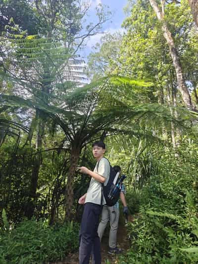 Mont Rinjani : excursion d'une journée au cratère du Senaru