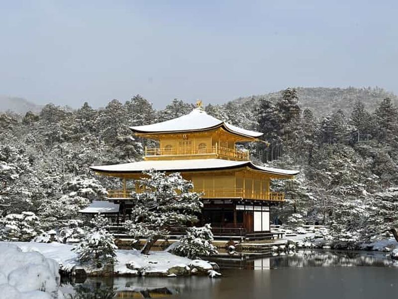 Kyoto : visite privée du temple Kinkaku-ji et cérémonie du thé