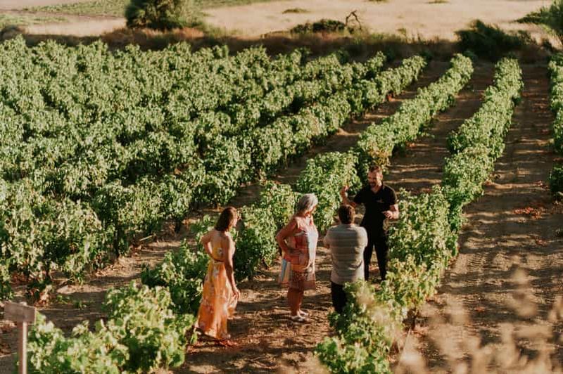 Billet Île de Milos : Dégustation de vin dans le vignoble de Kostantakis