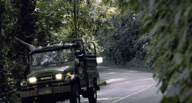 Rio de Janeiro : excursion en Jeep dans la forêt de Tijuca