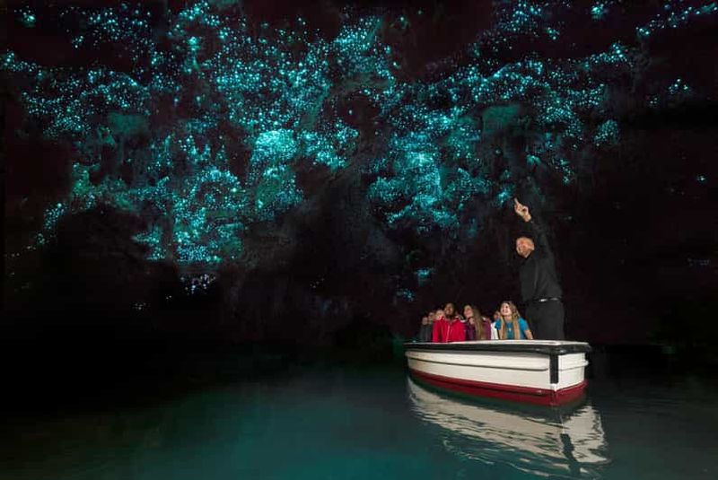 Au départ d'Auckland : Excursion à la journée aux grottes des vers luisants de Waitomo