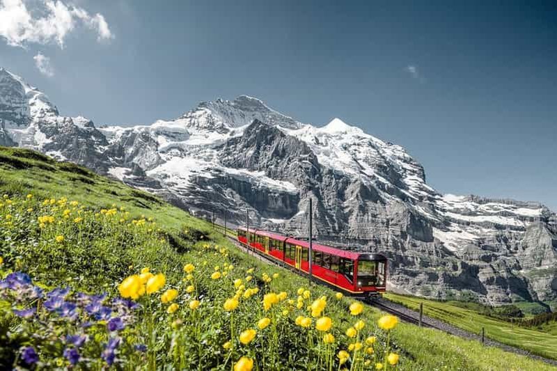 Depuis Interlaken : visite guidée du Jungfraujoch, le sommet de l'Europe