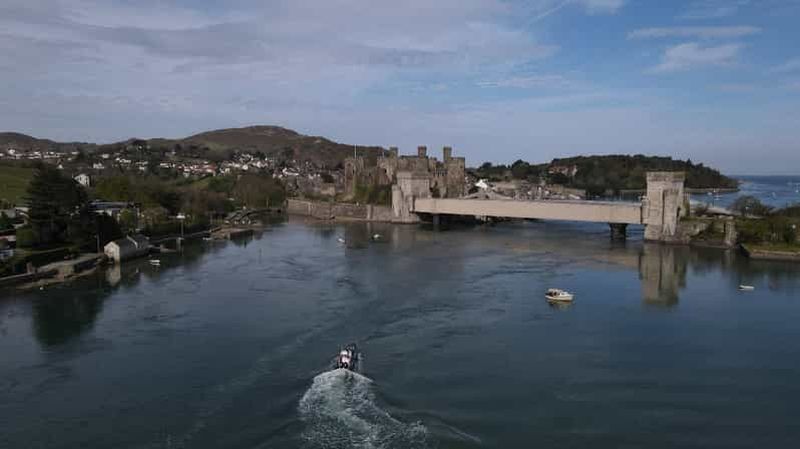 Conwy : voyage à la découverte de la vie marine de la Great Orme
