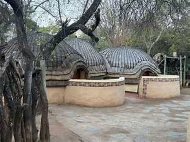 Johannesburg : visite guidée du village culturel de Lesedi avec spectacle culturel