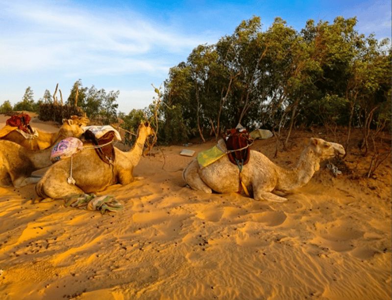 Excursion de 2 jours : Lac Rose -> Nuit dans le désert de Lompoul -> St Louis