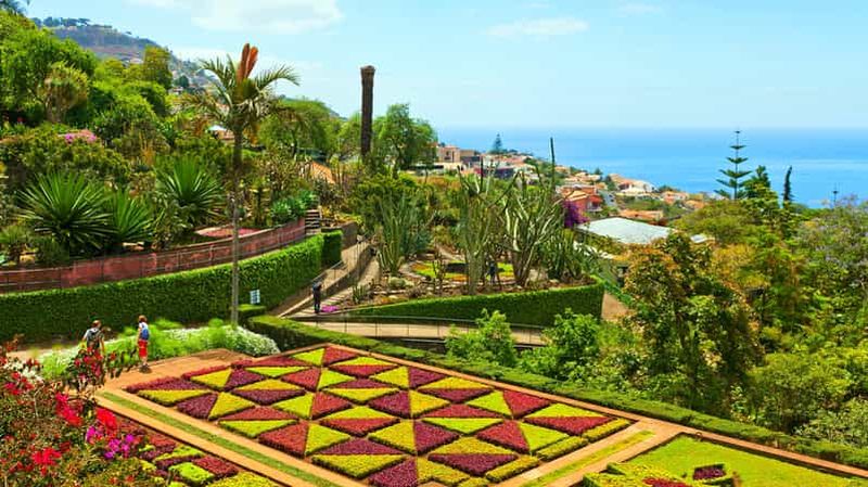Funchal : Visite en Tuk-Tuk du Jardin Botanique de Madère et de la Vieille Ville