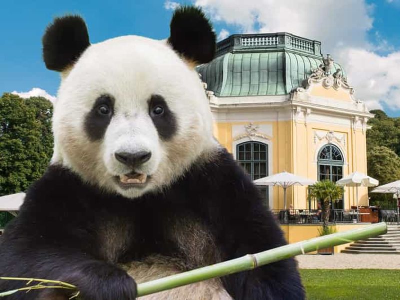 Vienne : billets coupe-file pour le zoo de Schönbrunn