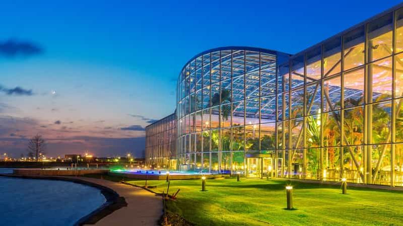 Bucarest : Therme București billet d'entrée avec transport