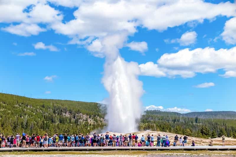 Au départ de Jackson : excursion d'une journée à Yellowstone, y compris les droits d'entrée