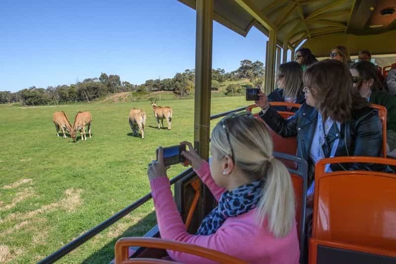 Depuis Melbourne : Zoo de Werribee et manoir de Werribee