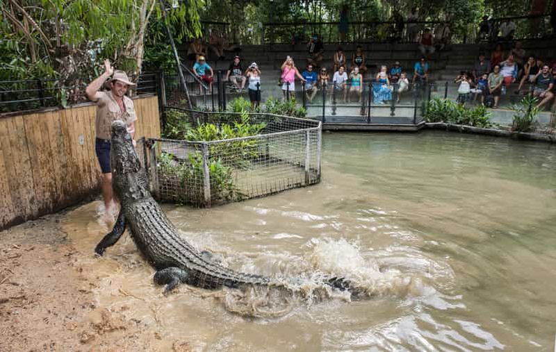 Entrée au parc Hartley's Crocodile Adventures