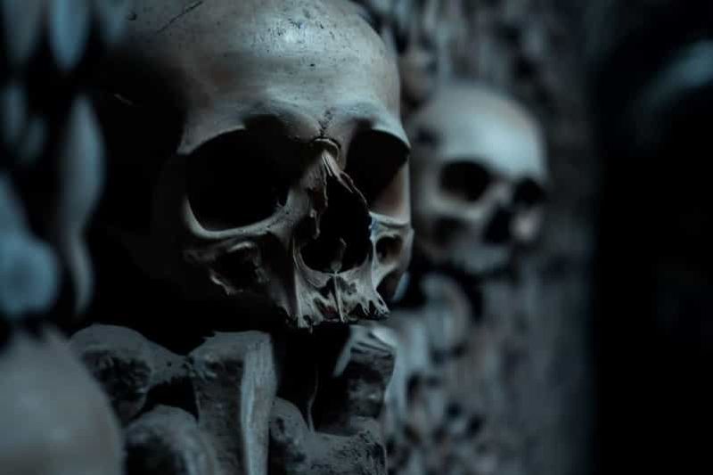 Paris : catacombes, audioguide et croisière fluviale en option