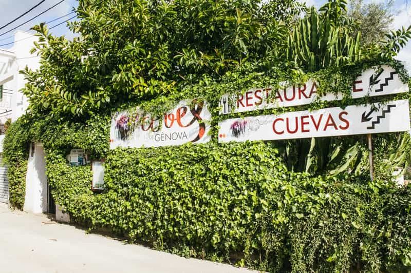 Palma : billets et audioguide numérique pour les grottes de Genova