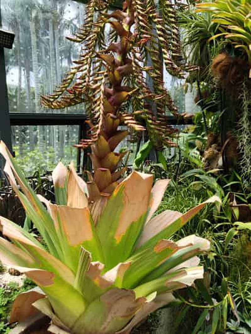 Bogotá : visite du Tropicarium et du jardin botanique