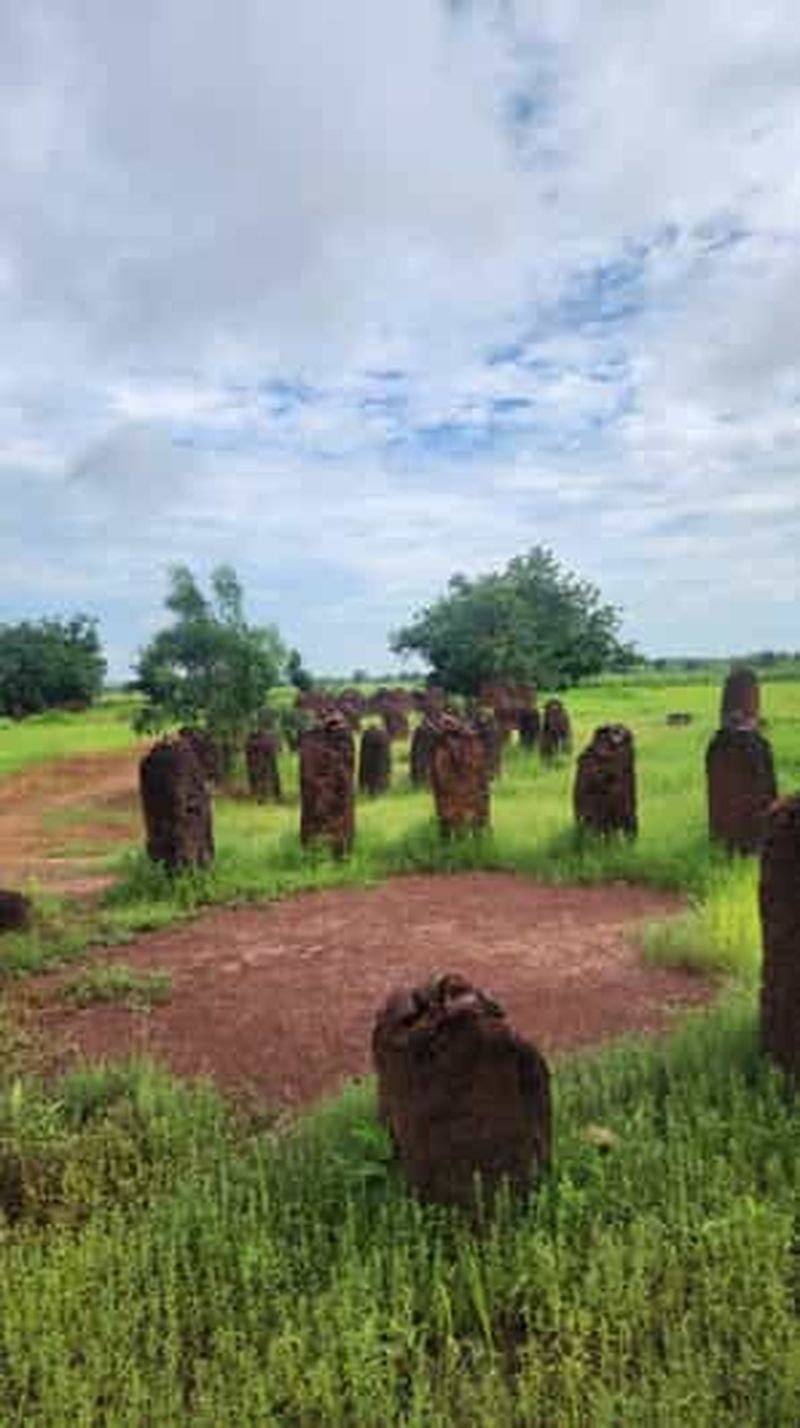 Billet Découvrez Janjanbureh : Un voyage au cœur de l'histoire de la Gambie