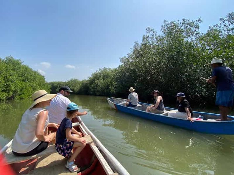 Billet Carthagène : excursion écologique dans la mangrove et pêche avec transport