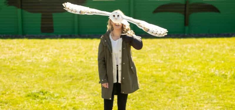 Depuis Dublin : les falaises de Moher, le Bird of Prey et la grotte d'Aillwee