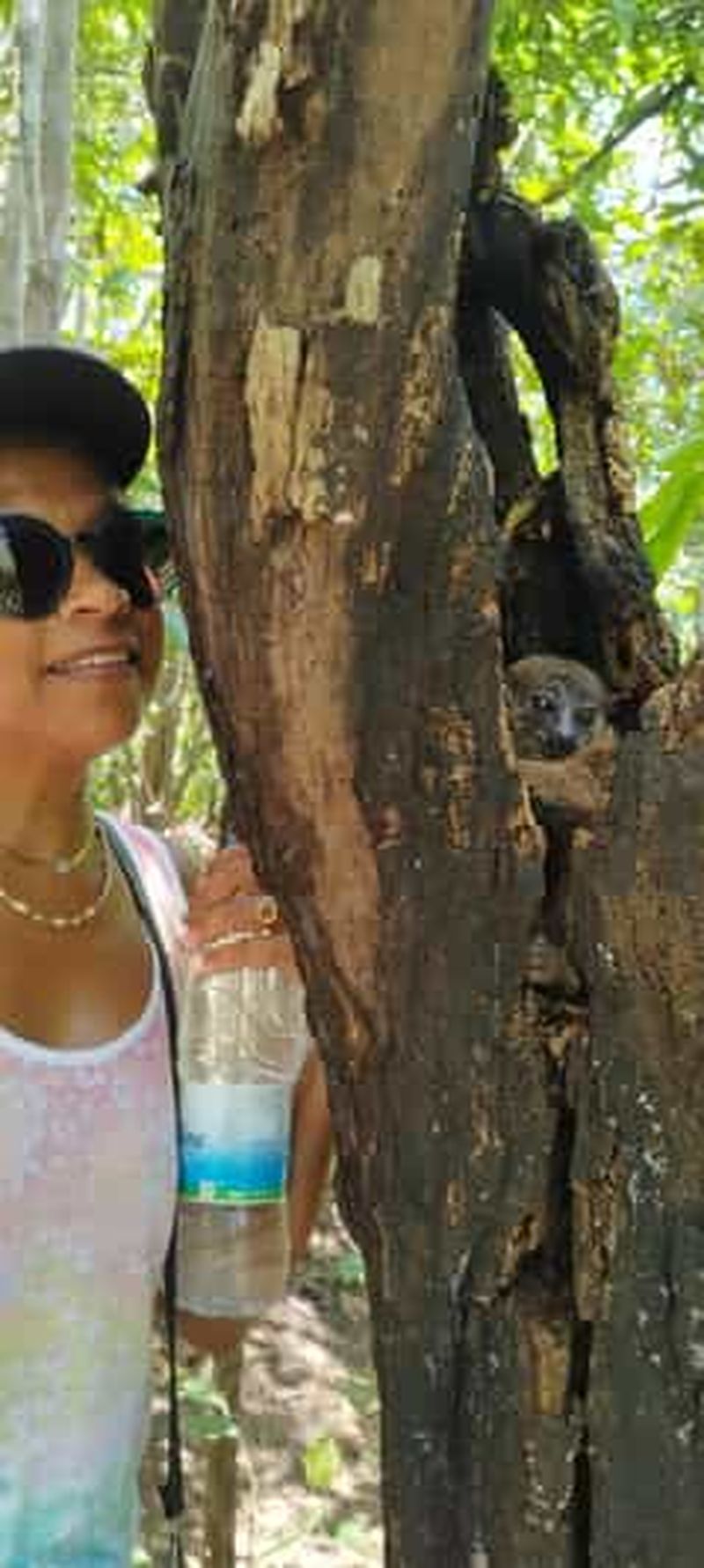 Billet Nosy Be : visite guidée de la réserve de Lokobe avec déjeuner
