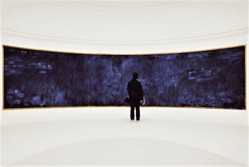 Paris : billet d'entrée au musée de l'Orangerie et billet pour une croisière sur la Seine