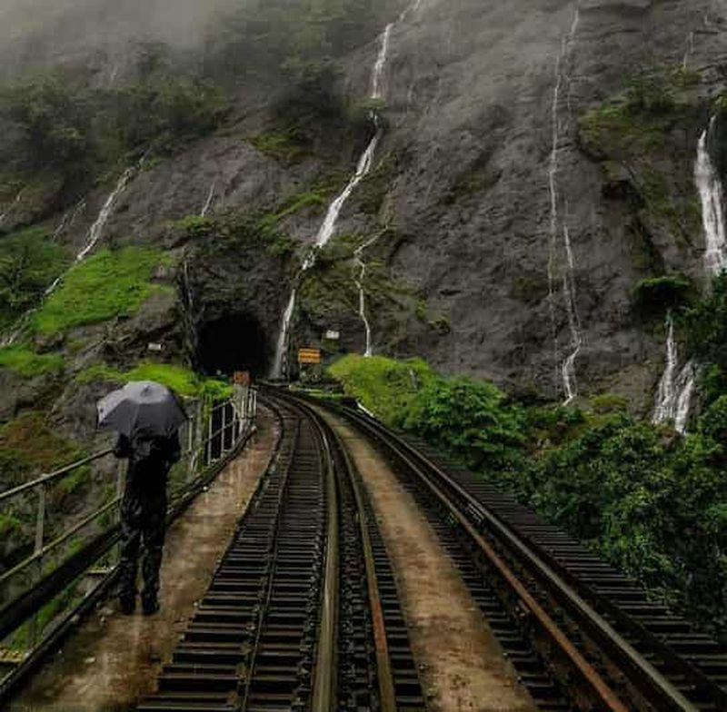 Goa : visite d'une journée à la cascade de Dudhsagar et à la plantation d'épices