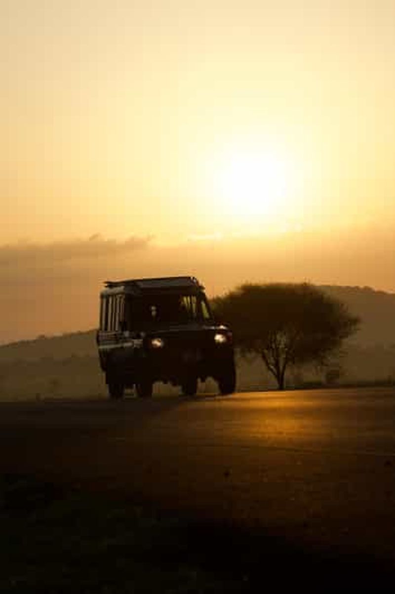 Arusha : safari économique de 5 jours dans le parc national du Serengeti