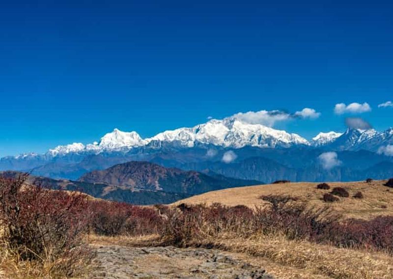 Billet Le Bouddha endormi : Excursion d'une journée à Sandakphu depuis Darjeeling