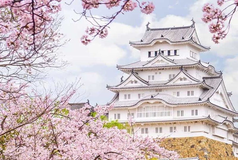Depuis Osaka : visite d'une journée du château de Himeji, d'Arima Onsen et du mont Rokko