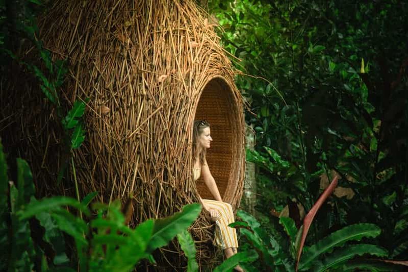 Bali : Forêt des singes, Tegalalang, Uluwatu et danse Kecak