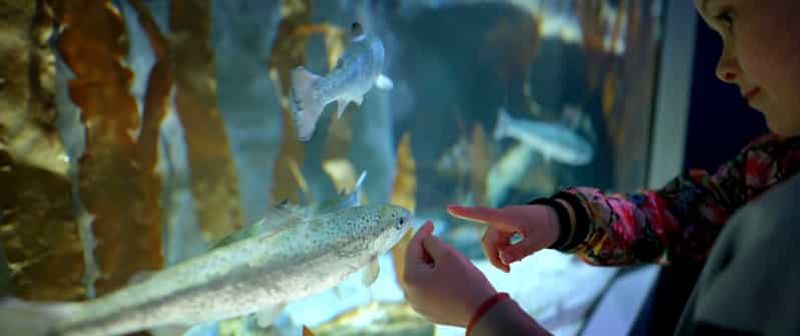 Tromsø : Visite guidée de Polaria