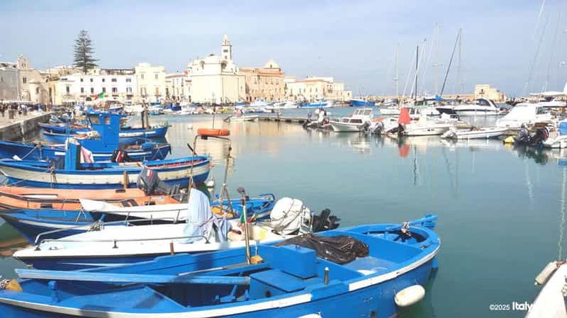 Lecce : visite exclusive d'une journée à Trani et Castel del Monte
