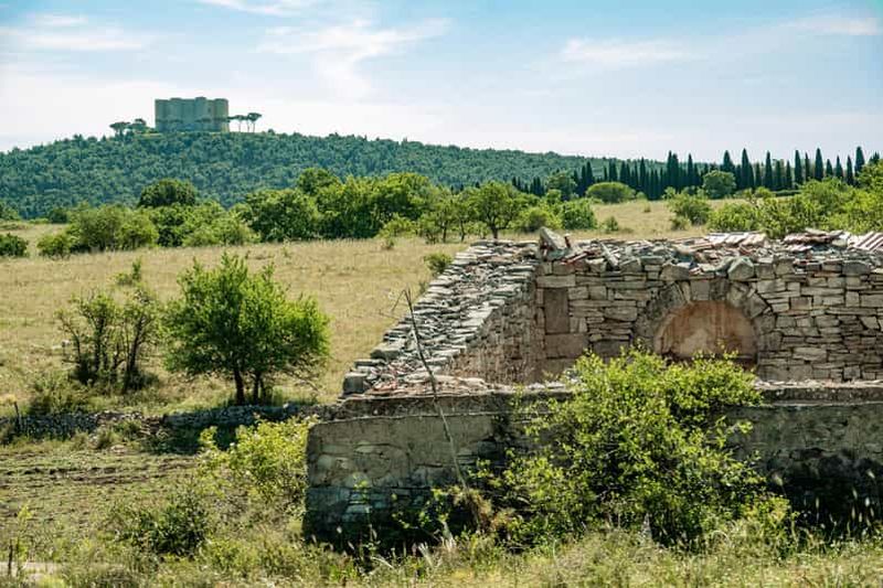 Visite organisée de Bari à Castel del Monte