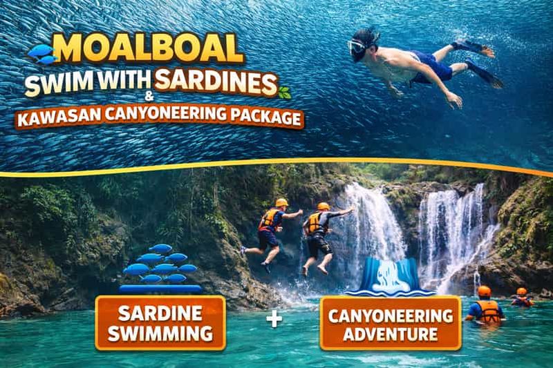 Cebu : la course des sardines à Moalboal et canyoning aux chutes de Kawasan