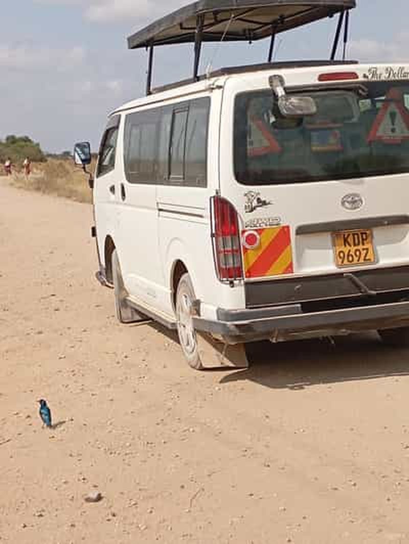 EXCURSION D'UNE JOURNÉE DANS LE PARC NATIONAL D'AMBOSELI AU DÉPART DE NAIROBI SAFARI BUDGET