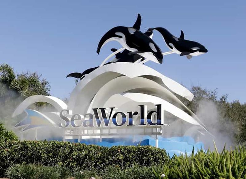 Orlando : Service de navette SeaWorld