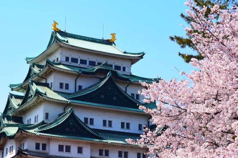 Visite du château de Nagoya : kimono et sakura