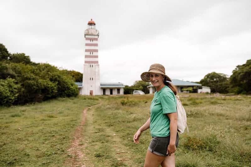 Billet Île de Mafia : visite du phare nord et safari hippopotames