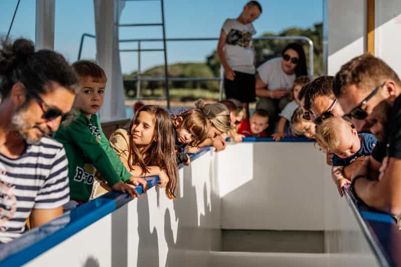 Fažana : tour en bateau de verre du parc national de Brijuni