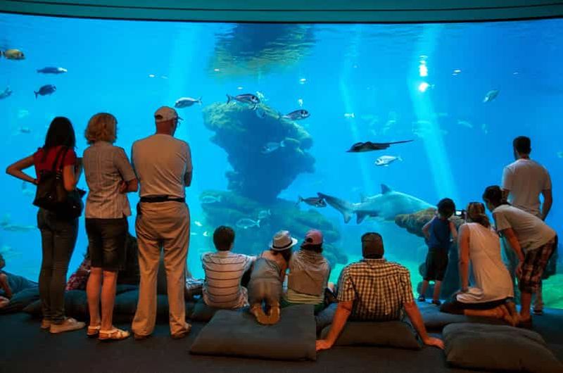 Majorque : Palma Aquarium avec transferts, guide et entrée rapide