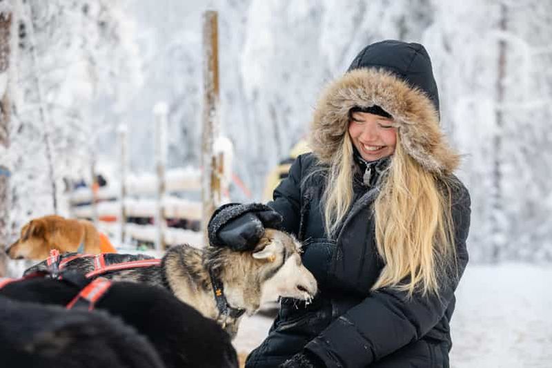 Rovaniemi : expérience avec huskies et rennes et courtes promenades en traîneau