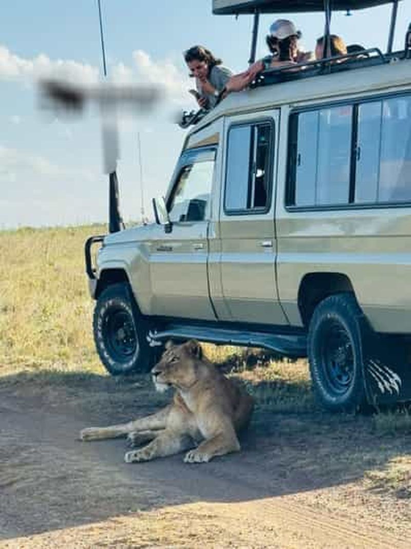 Visite du Parc National de Nairobi : safari d'une demi-journée
