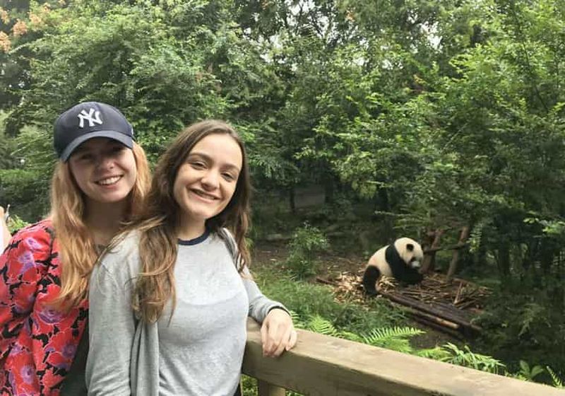 Visite d'une journée à Chengdu : centre de recherche sur les pandas et grand Bouddha de Leshan