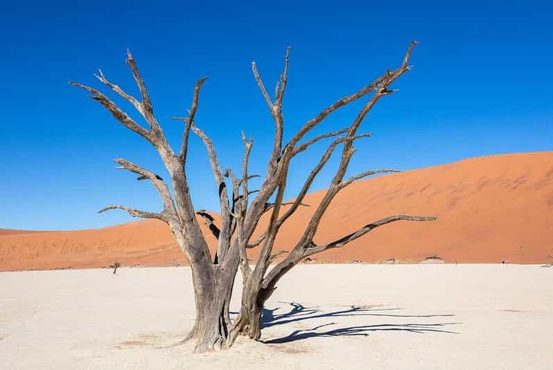 Depuis Windhoek : Circuit de 3 jours à Sossusvlei en navette partagée